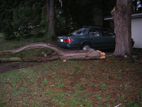 Dec 2006 Winter Storm Damage