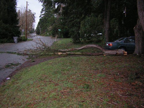 Dec 2006 Winter Storm Damage