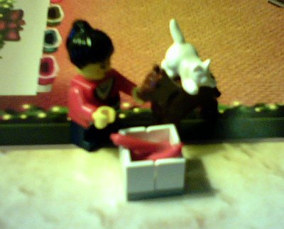 LEGO Advent 2010