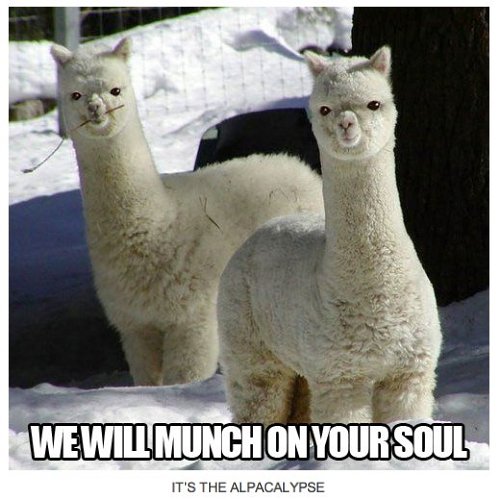 We will munch on your soul
