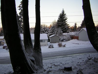 Bothell Snow