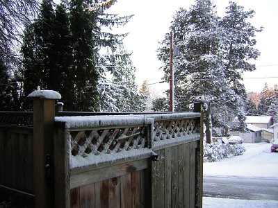 Bothell Snow