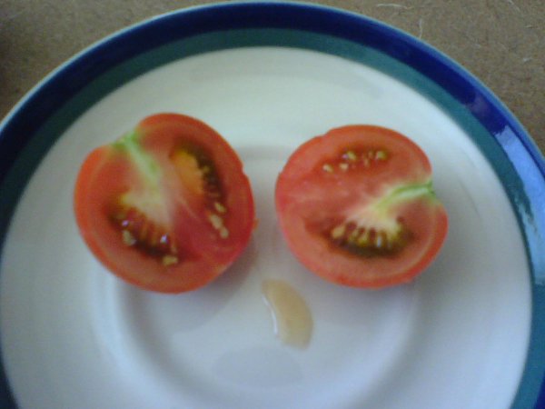 Tomatoes